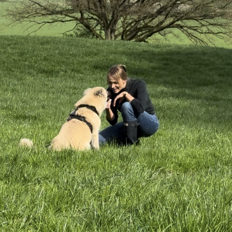 Frau mit Hund auf einer grünen Wiese