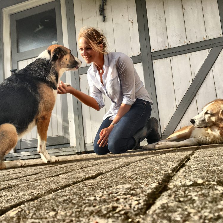 Heim und Hund Hundetraining nach Maß in Bad Segeberg